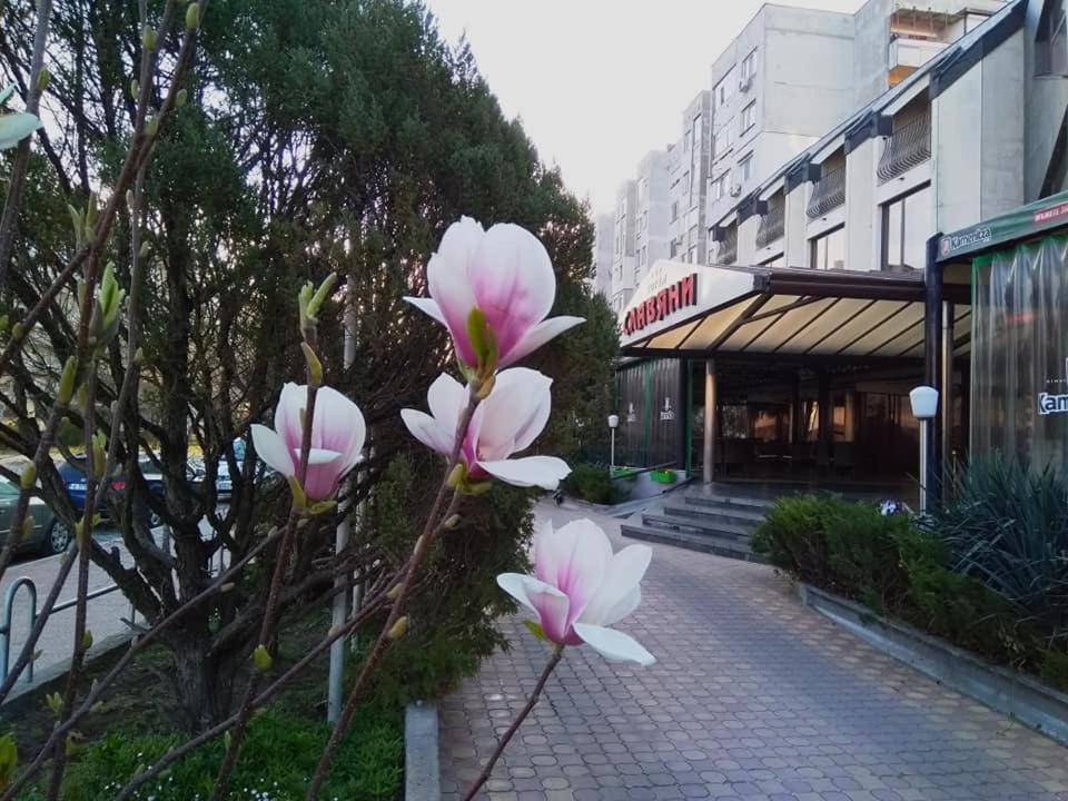 Hotel Slaviani ดิมิโตรฟกราด ภายนอก รูปภาพ